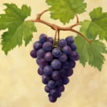 Bible Verses About Bearing Fruit: Spiritual Growth in Scripture bible verses about bearing fruit