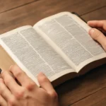 bible verses for renewing your mind