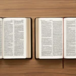 comparative bible translations