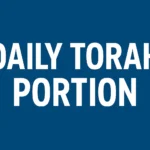 daily torah portion
