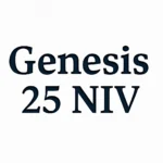 genesis 25 niv