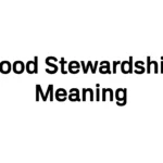 good stewardship meaning