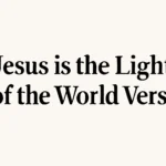jesus is the light of the world verse