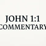 john 1 1 commentary