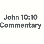 john 10 10 commentary