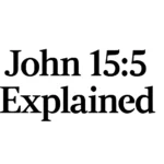 John 15:5 Explained: Meaning, Context, and Application john 15 5 explained