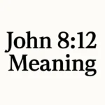 john 8 12 meaning