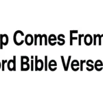 my help comes from the lord bible verse