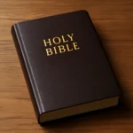 new testament bible order