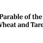Parable of the Wheat and Tares: Meaning, Interpretation, and Key Lessons parable of the wheat and tares
