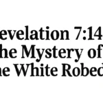 revelation 7 14