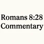 romans 8 28 commentary