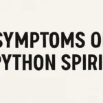 Symptoms of Python Spirit: A Comprehensive Guide to Recognizing the Signs and Understanding Its Meaning symptoms of python spirit