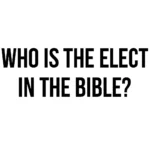 who is the elect in the bible